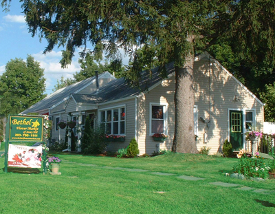 About Us Bethel Flower Market Of Stony Hill Bethel Ct