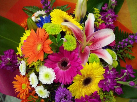 Flower Shops, Flower Delivery, Florists, Winnipeg