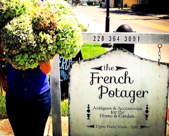 Plant Special Designer's Choice in Bay Saint Louis, MS - The French Potager