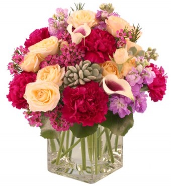 About Us - ENCHANTED FLORIST OF CAPE CORAL - Cape Coral, FL