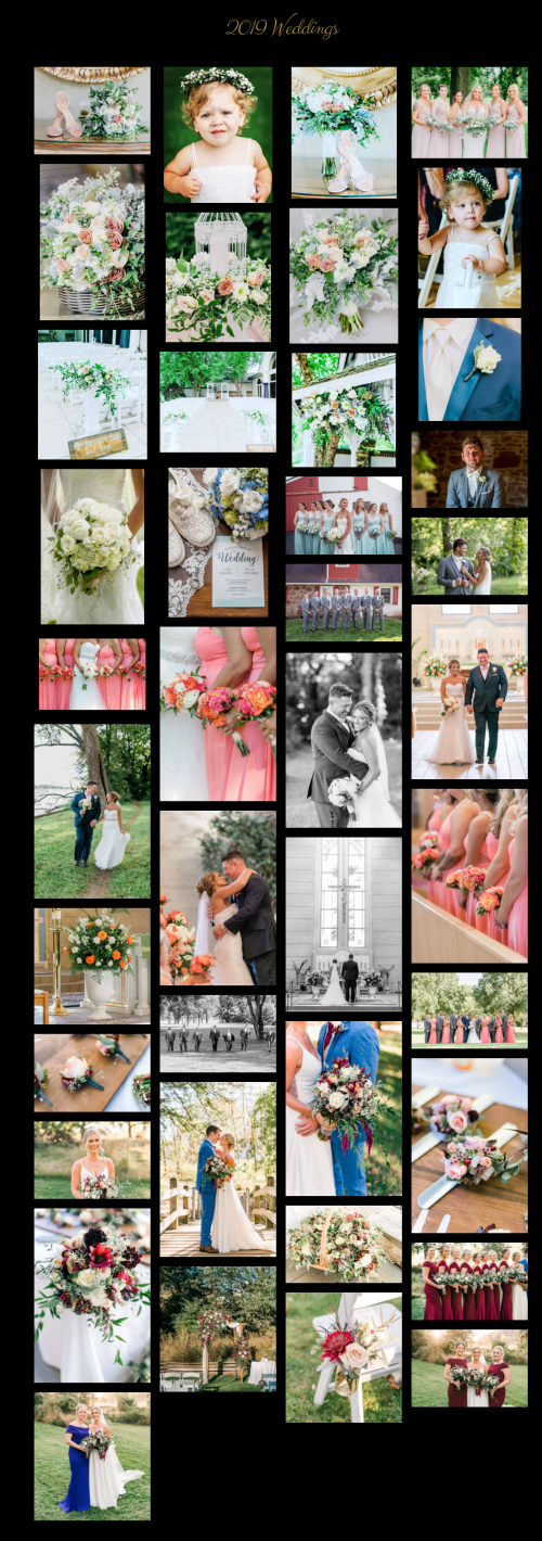 Wedding Images from Little Cottage Gardens