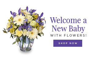 Flower Shop Franklin, In, Florist, Gifts, Birthday, Funeral,Baby