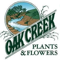 Lincoln Florist Ne Flower Oak Creek Plants Flowers