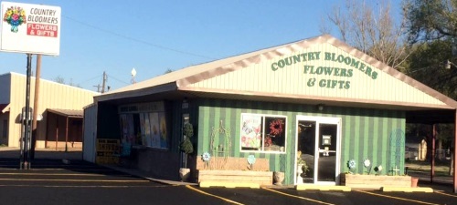 About Us - Country Bloomers - Clarendon, TX