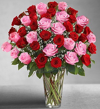 Two Dozen Red Rose Bouquet  Voted Oakville's #1 Florist – FIORI Oakville